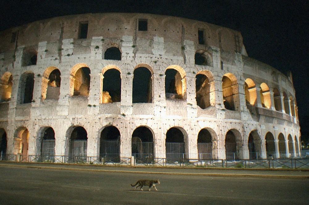 Colosseum exterior lit by floodlights against a dark sky at night