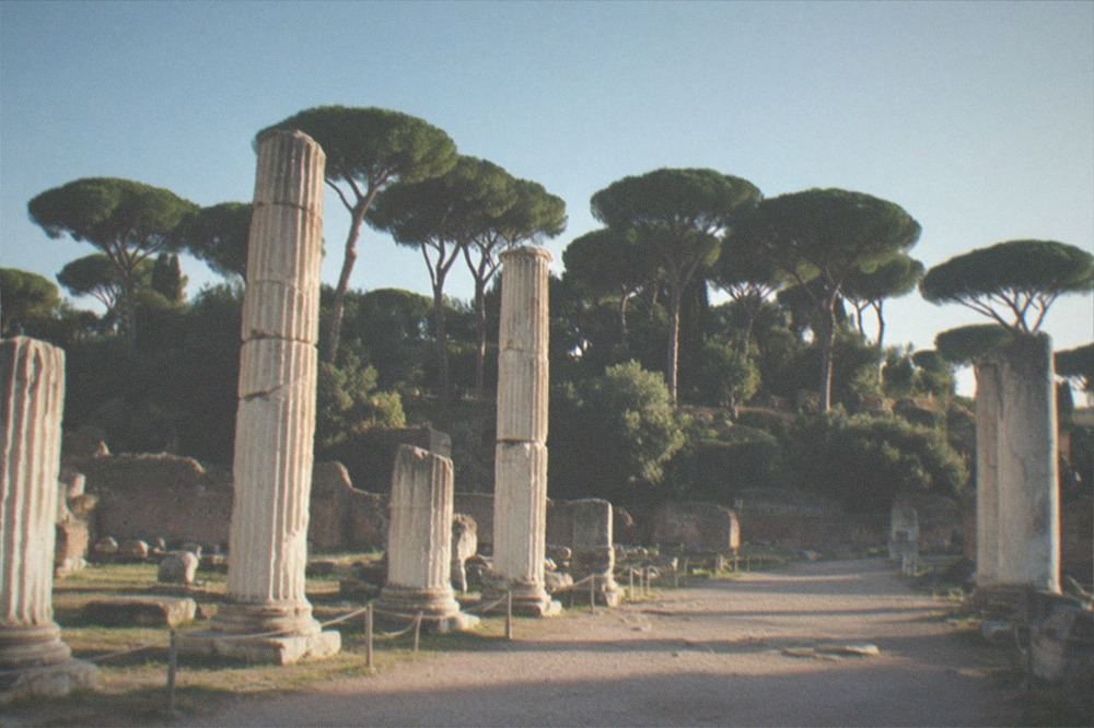Ancient stone ruins of the Roman Forum with columns and a hillside of pine trees behind them