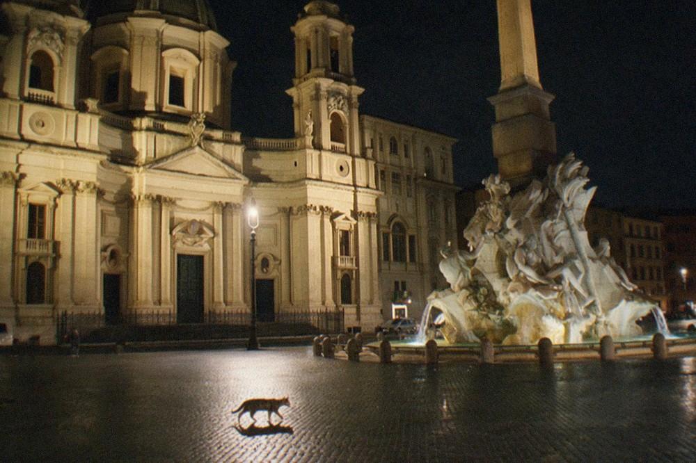 Floodlit piazza in central Rome at night with baroque facade lit by warm lamps