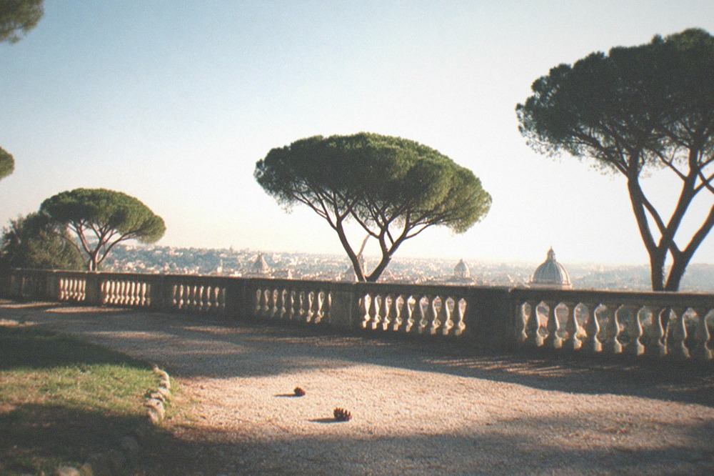 Panoramic view over Rome rooftops and domes from a tree lined hilltop terrace