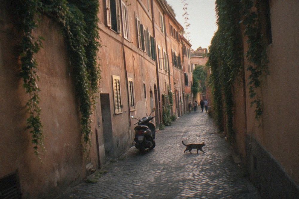A narrow lane in Trastevere with ivy covered walls and warm evening light on old buildings
