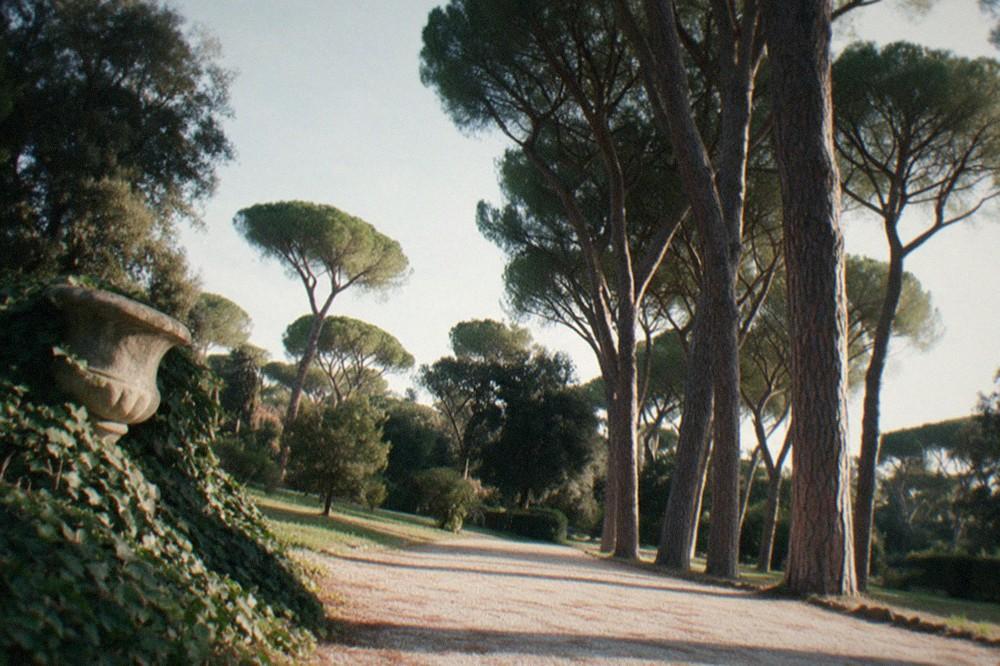 Gravel path lined with stone pines in Villa Borghese park
