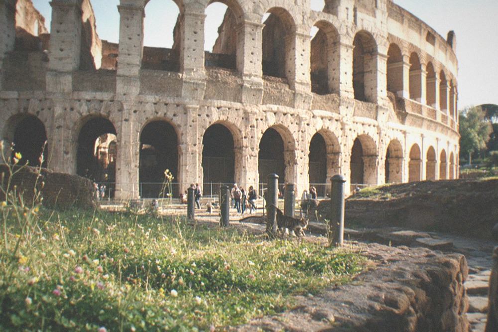 Ancient stone amphitheatre exterior with arches in afternoon light